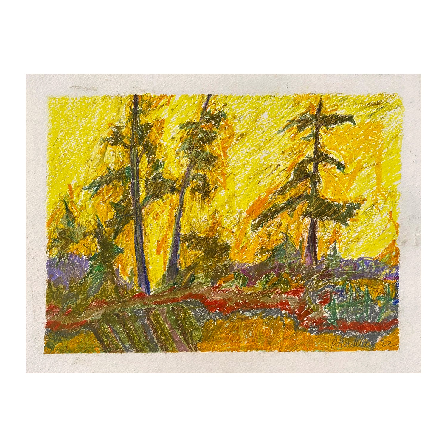 Original Soft Pastel Painting of a Forest Landscape, 11 x 14.25 inches, by Patty Pendleton