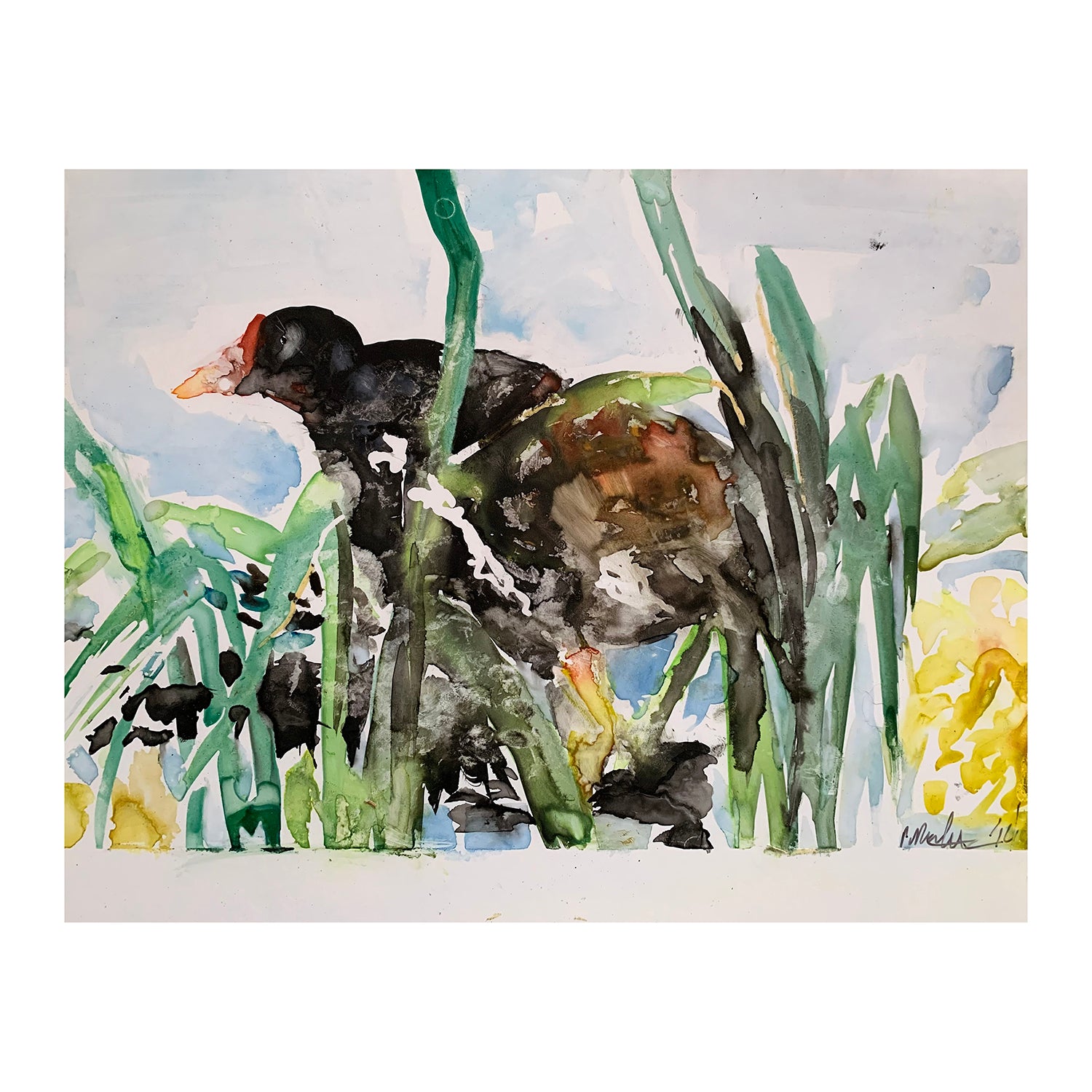Original Acrylic Painting of a Marsh Bird Portrait, 8 x 10 inches, by Patty Pendleton
