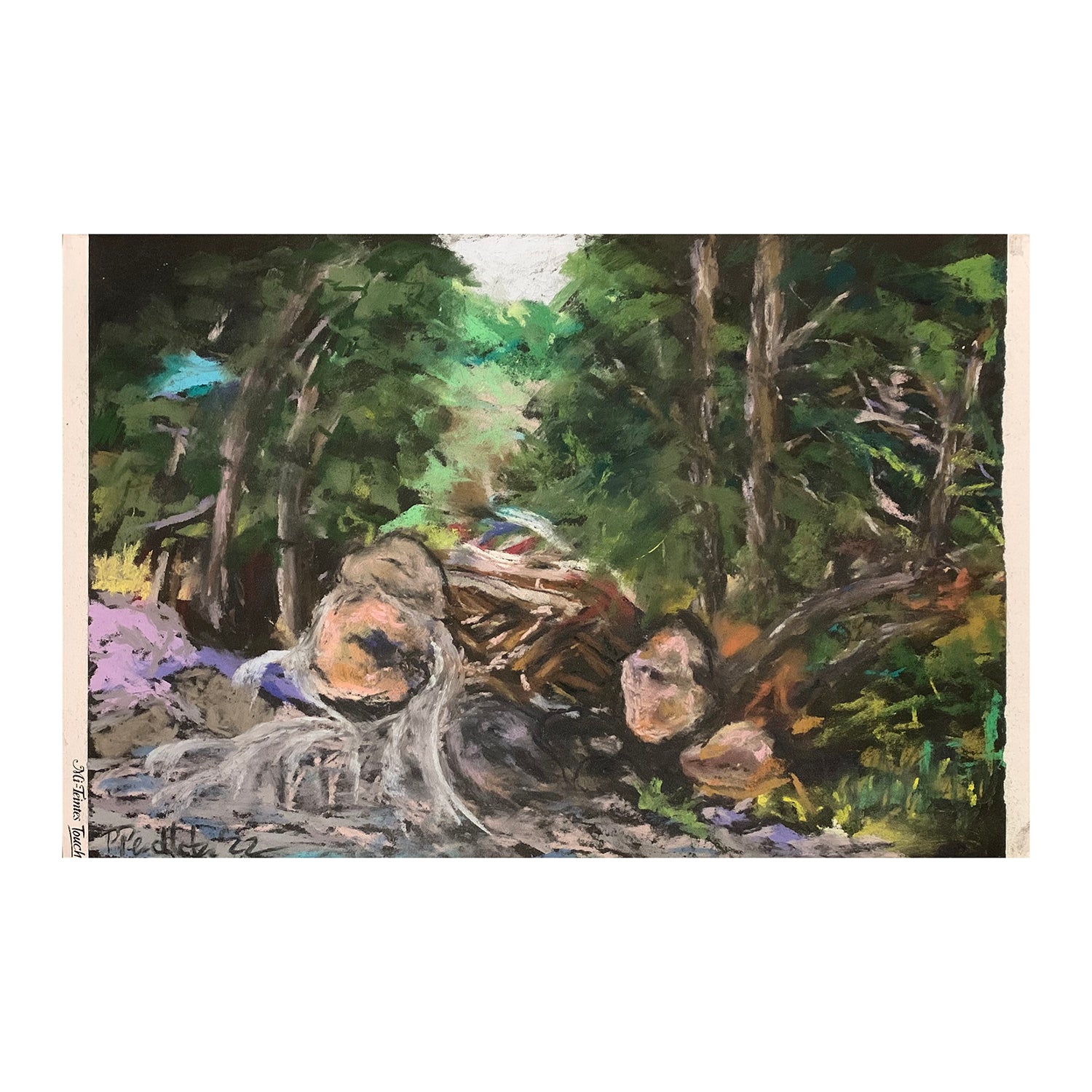 Original Pastel Painting of a Forest Landscape, 14.4 x 22 inches, by Patty Pendleton
