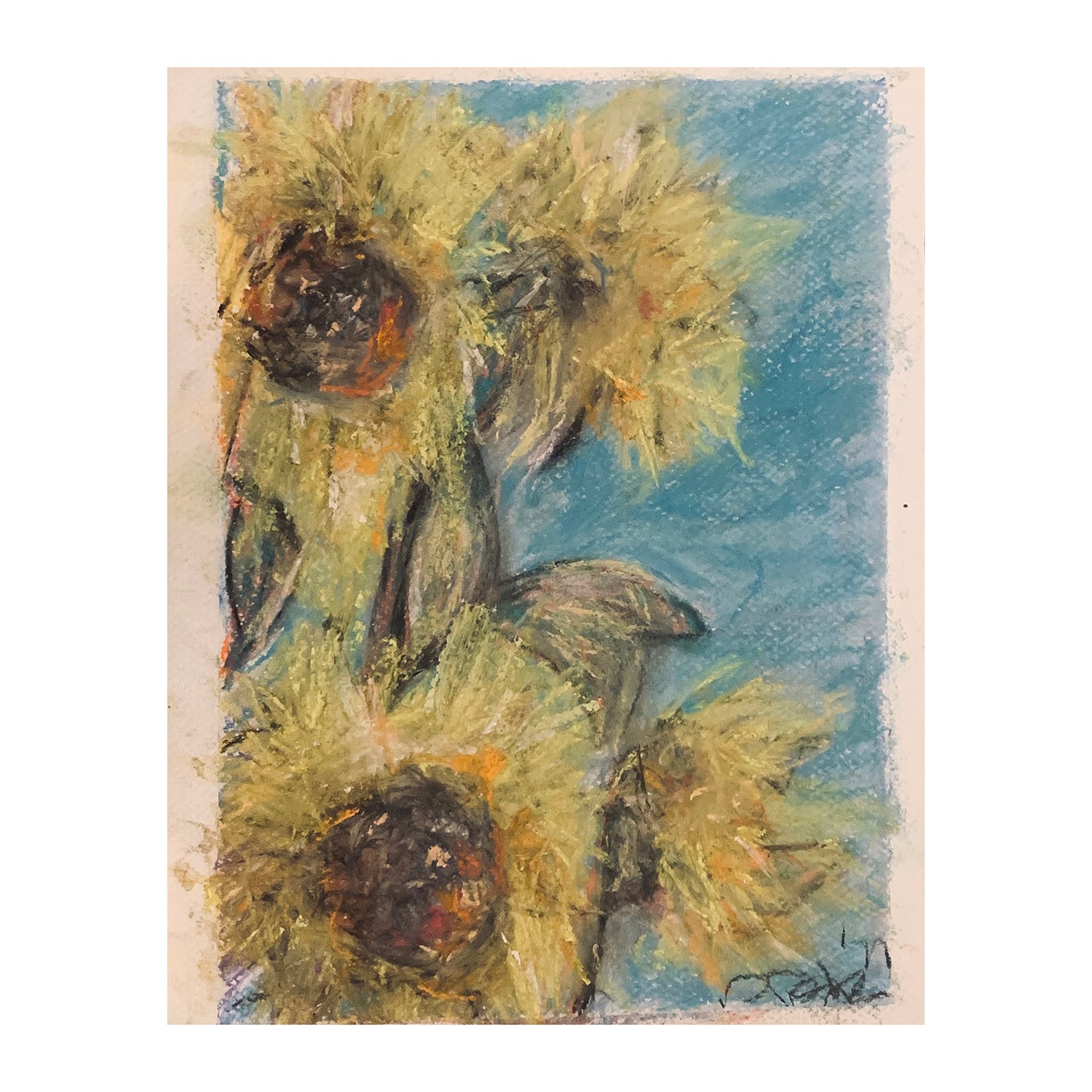 Original Hard Pastel Painting of a Sunflower Still Life, 10 x 8 inches, by Patty Pendleton